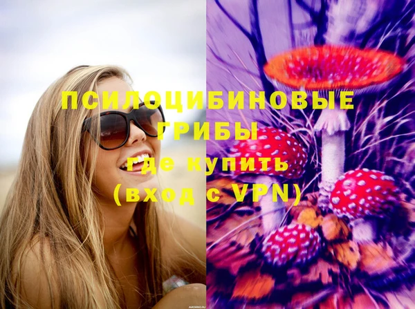 амф Арсеньев